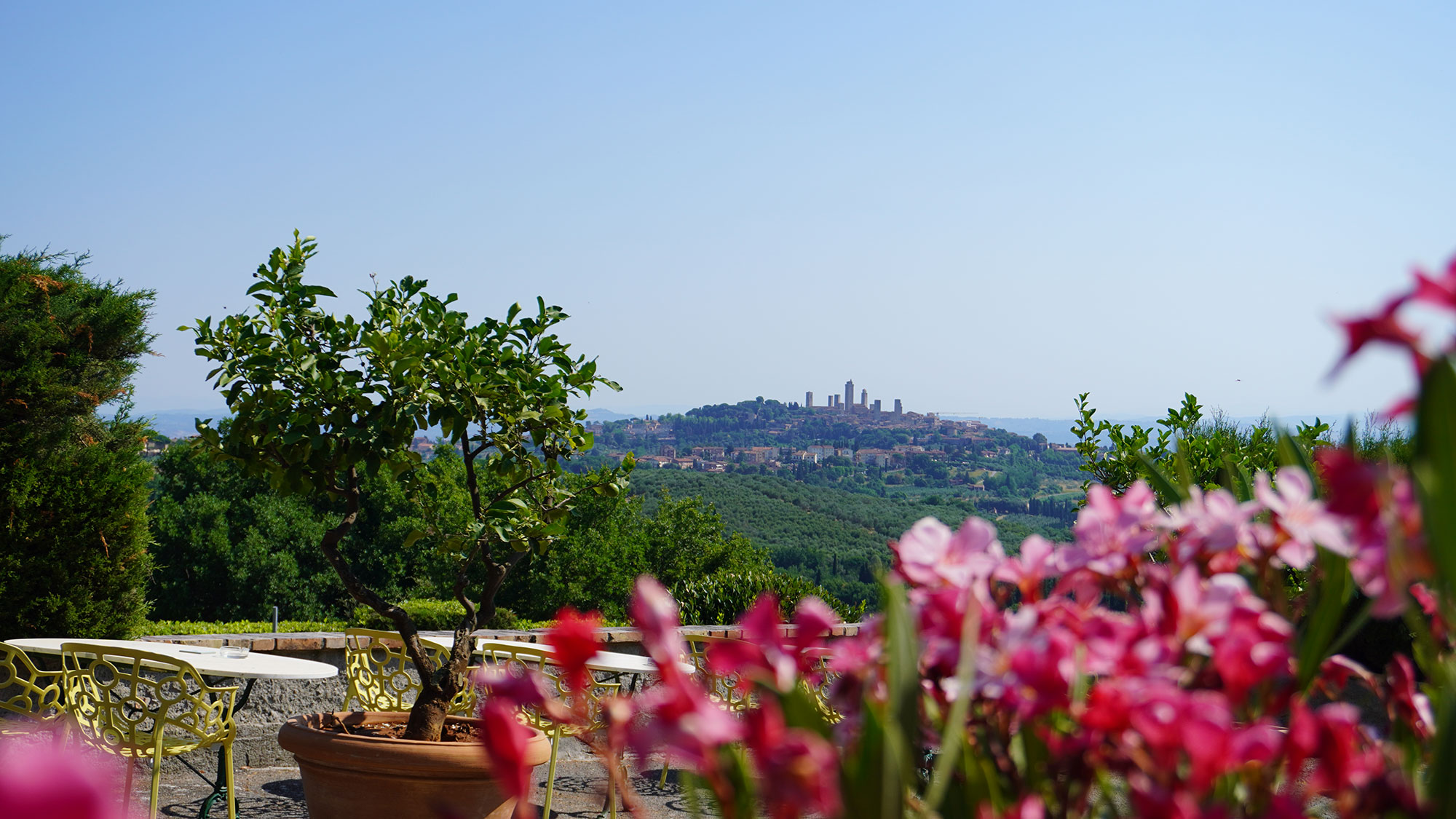 Offerta Speciale Maggio