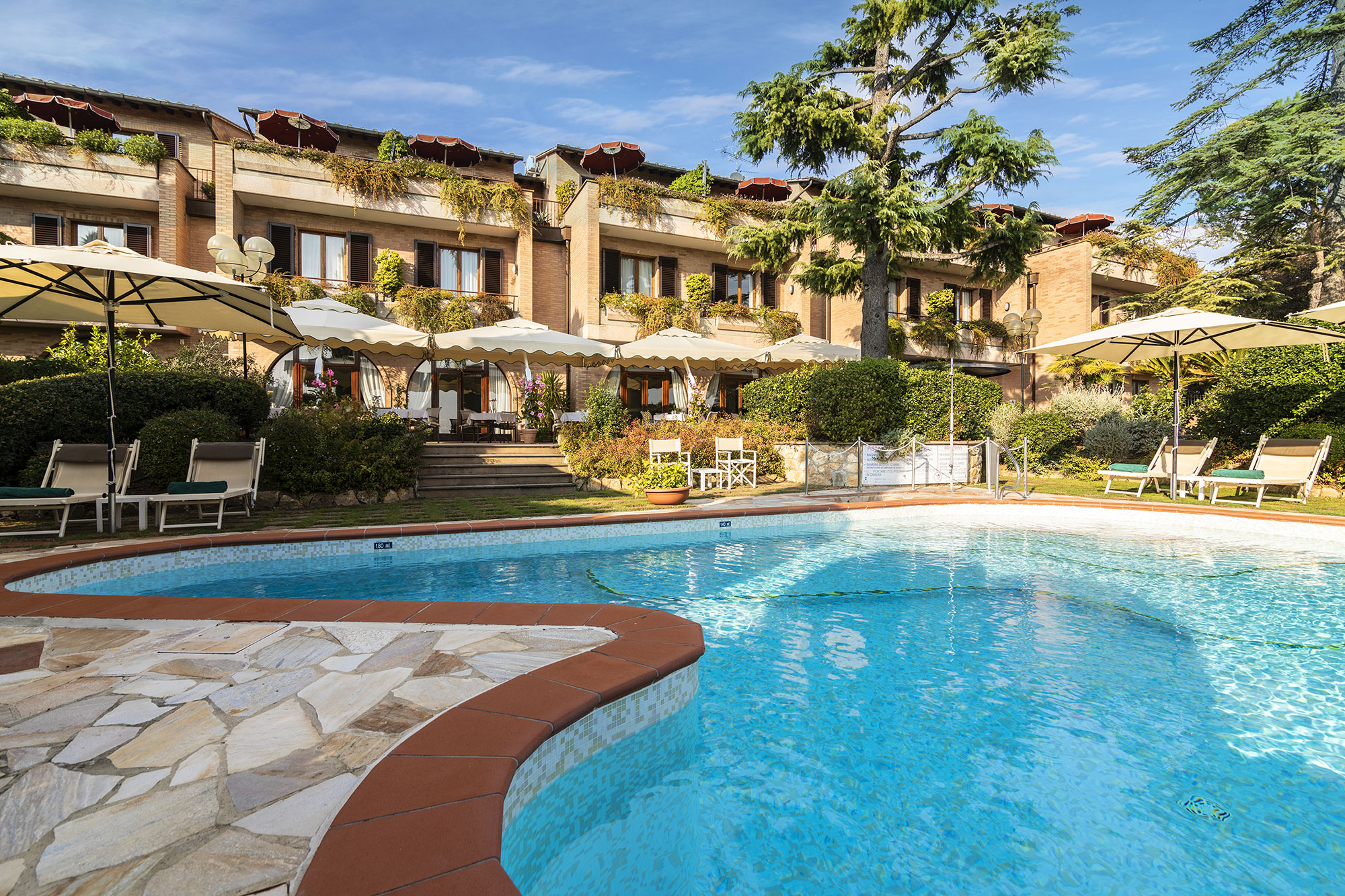 Image Column Section Image 1