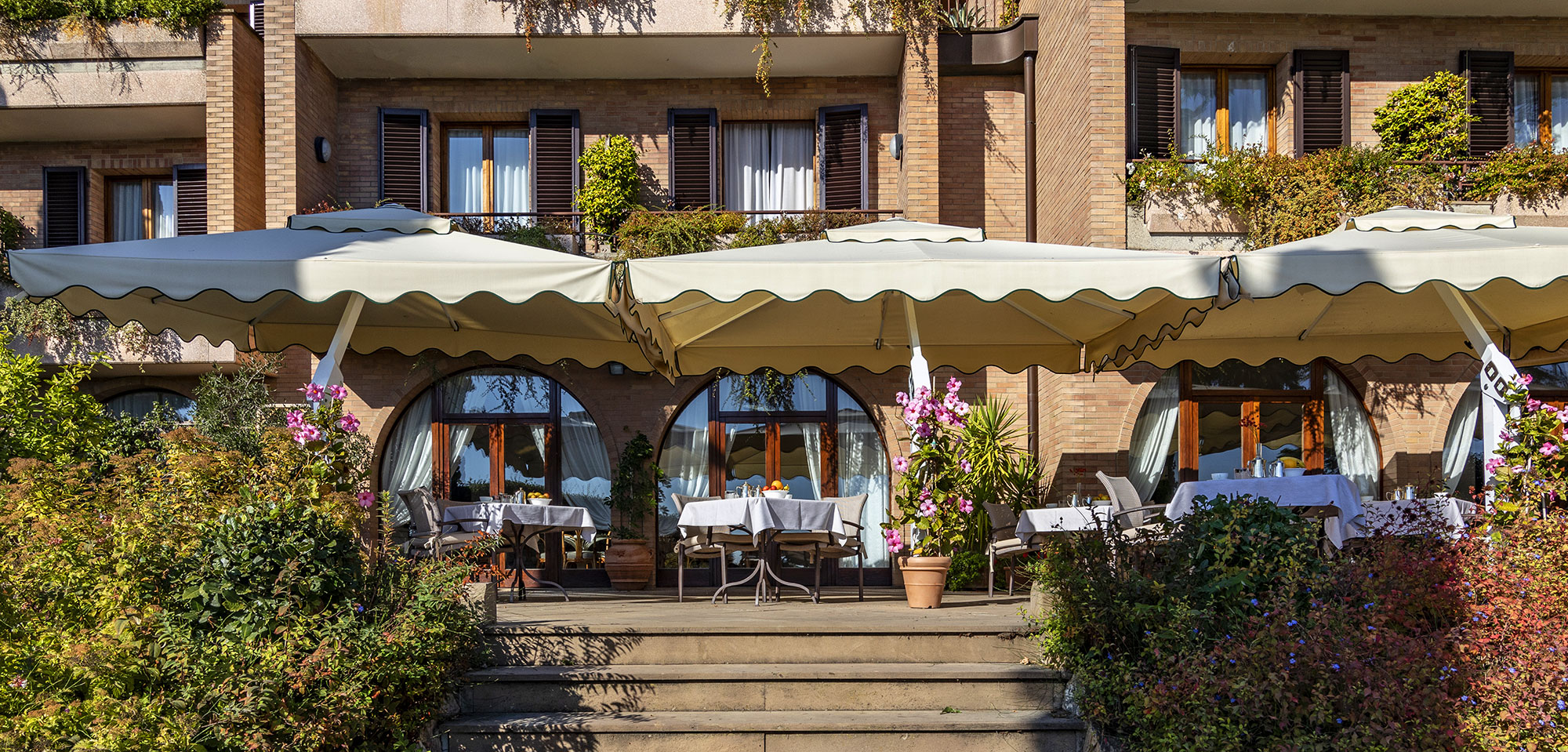 Image Column Section Image 1