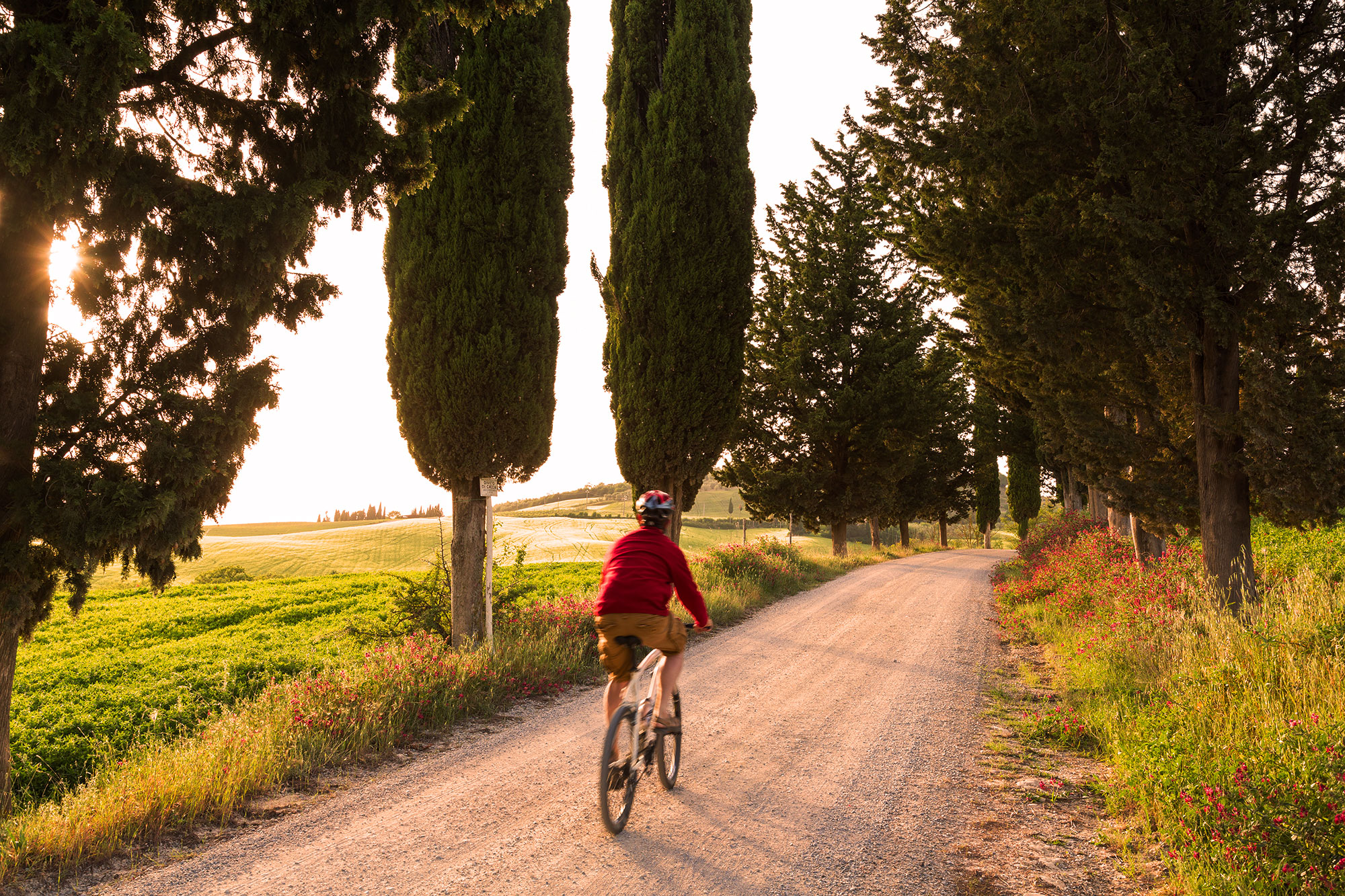 Image Column Section Image 2