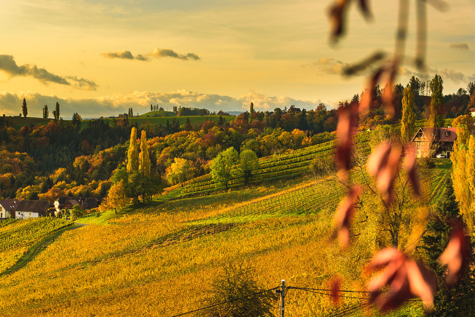 Offerta Speciale Ottobre