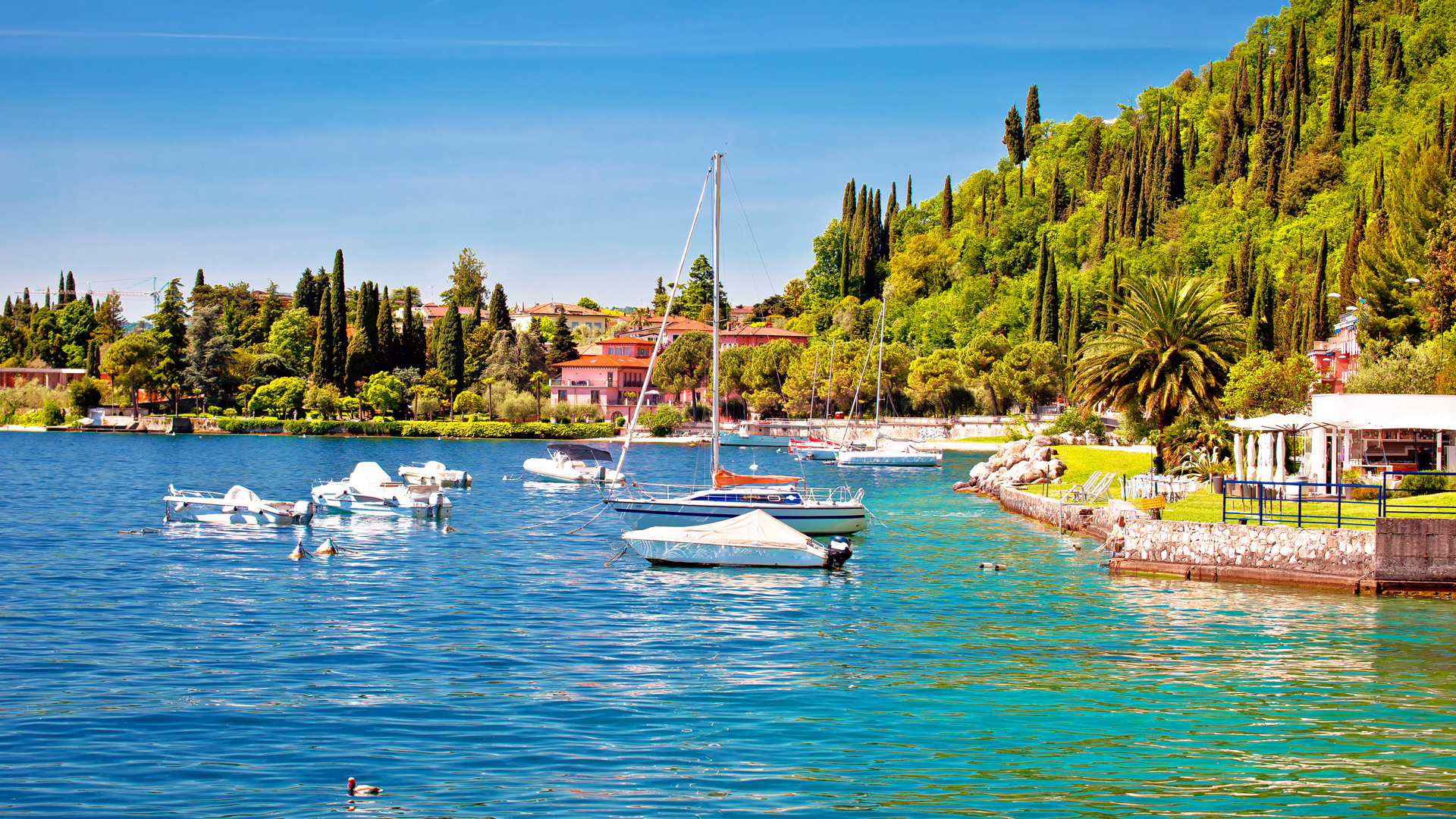 Slider Section Image