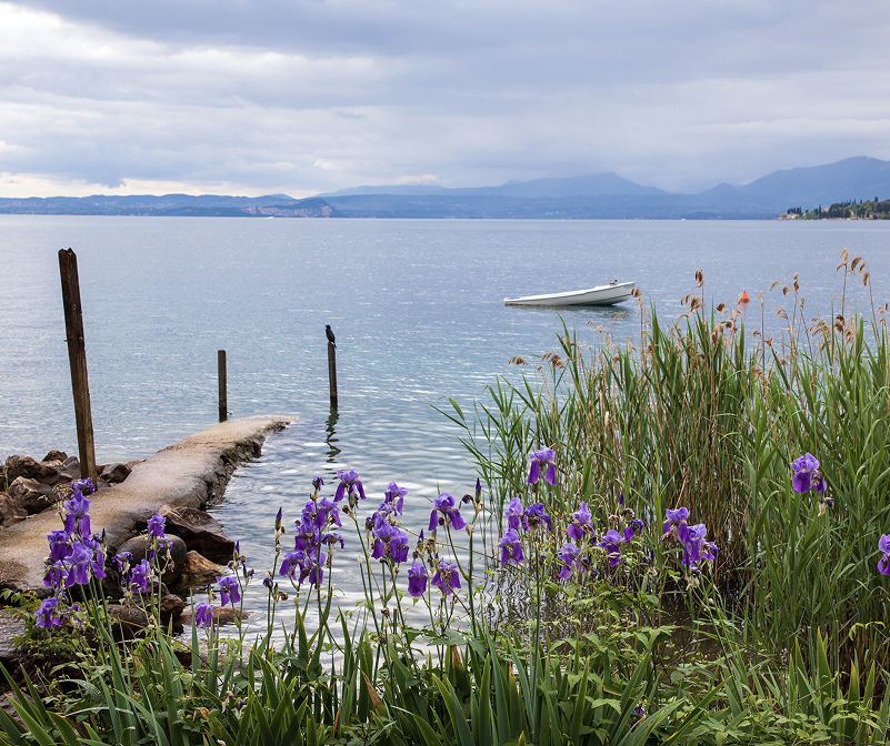 Offerta prenota prima