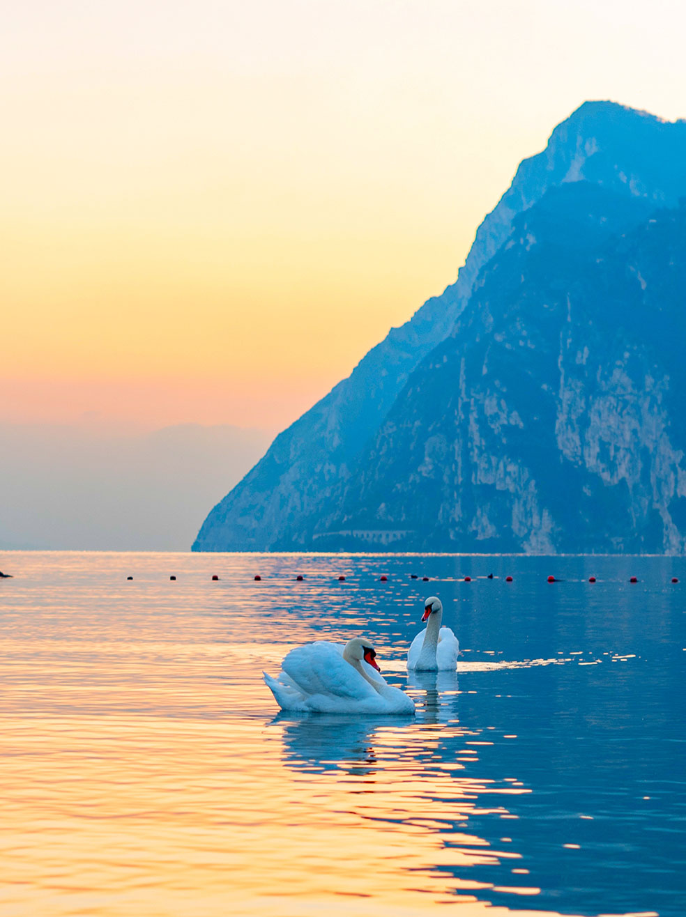 Image Column Section Image 2