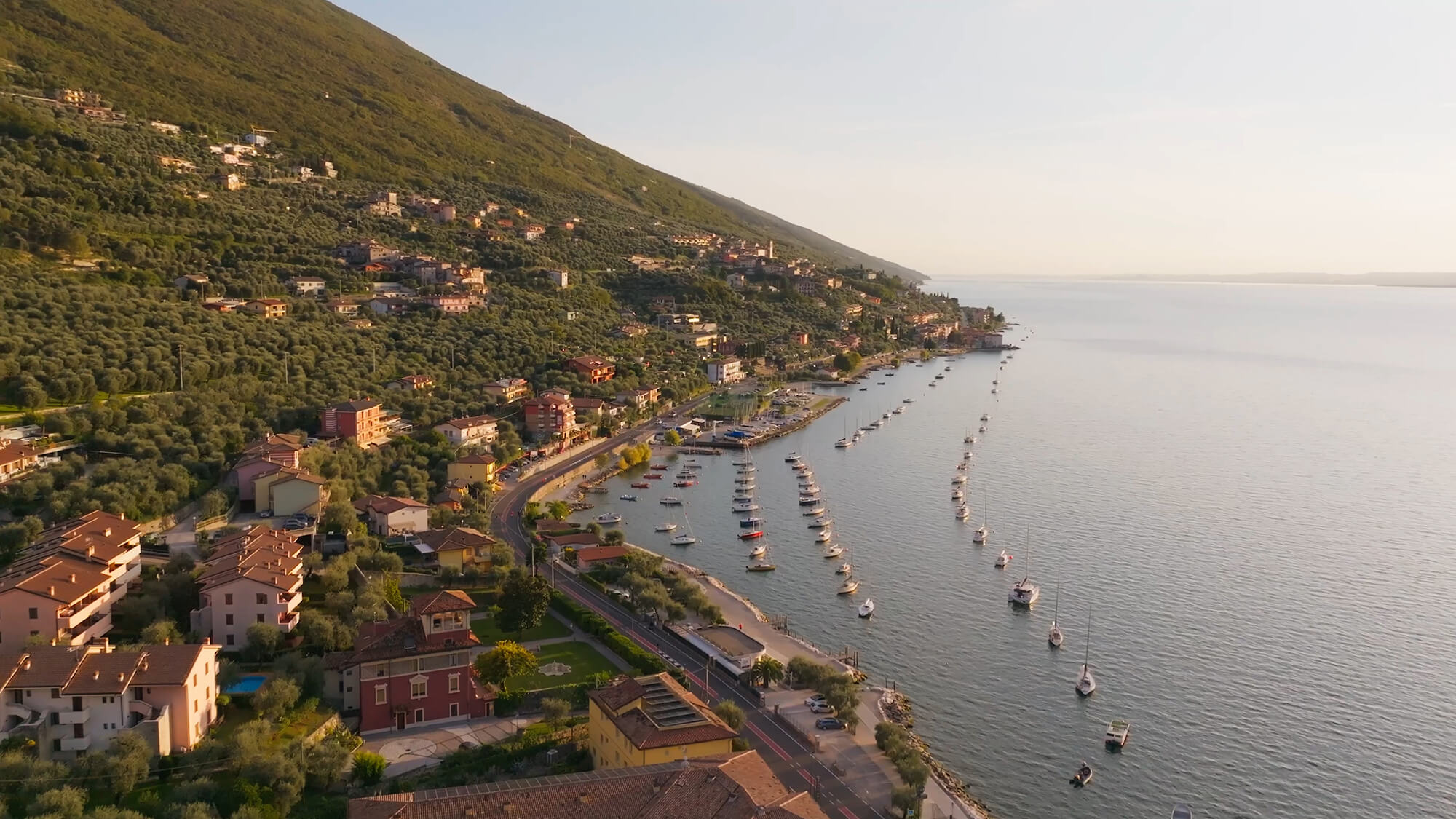 Image Column Section Image 1