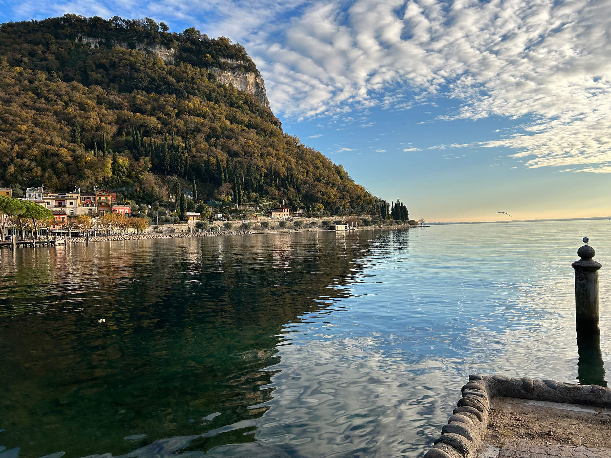 Image Column Section Image 2