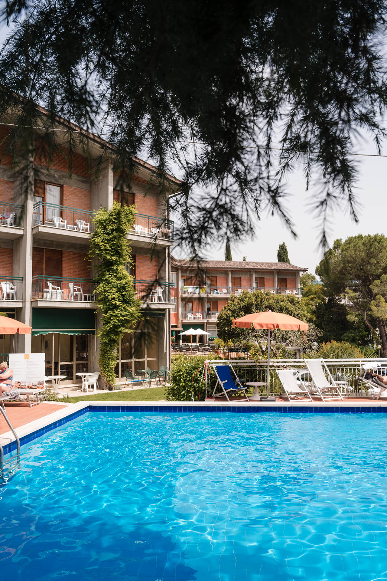 Image Column Section Image 2