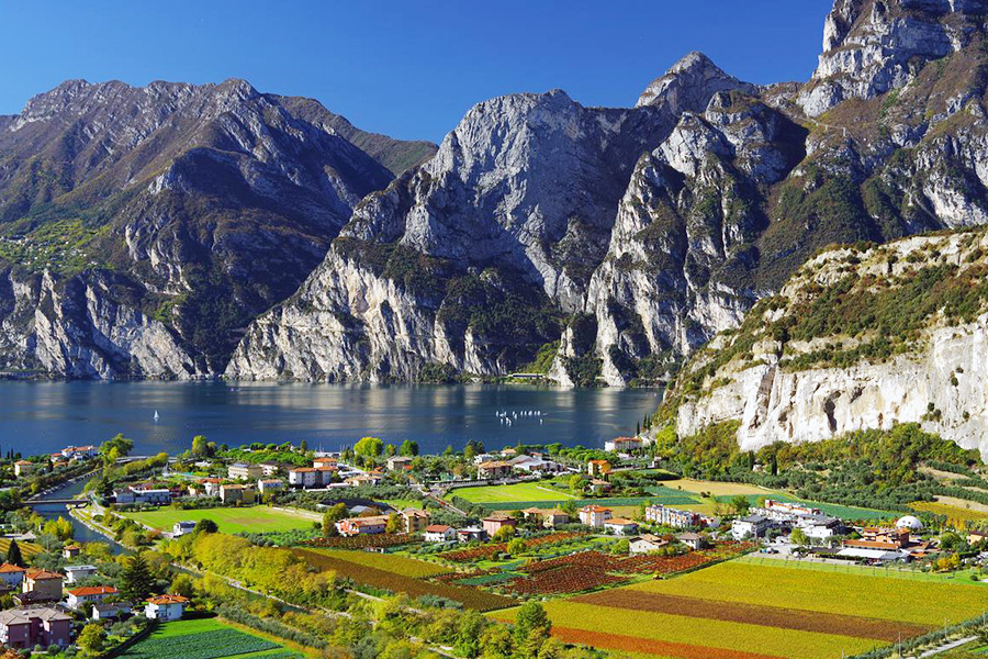 Image Column Section Image 2