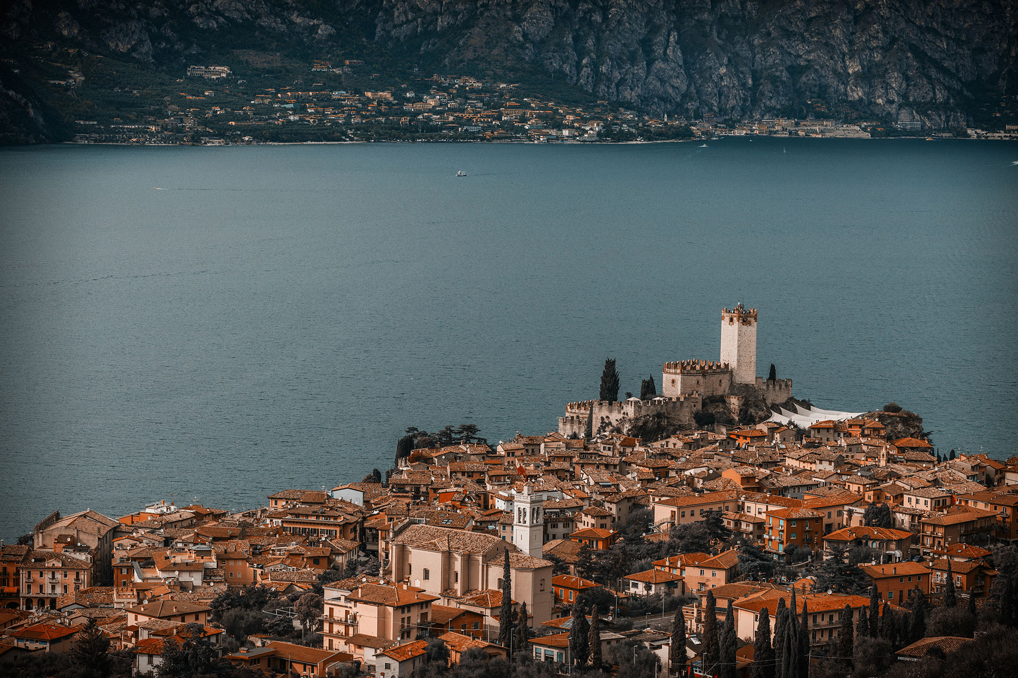 Image Column Section Image 2