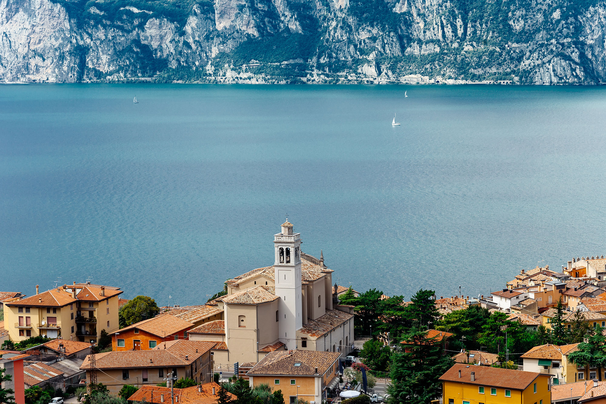 Image Column Section Image 2