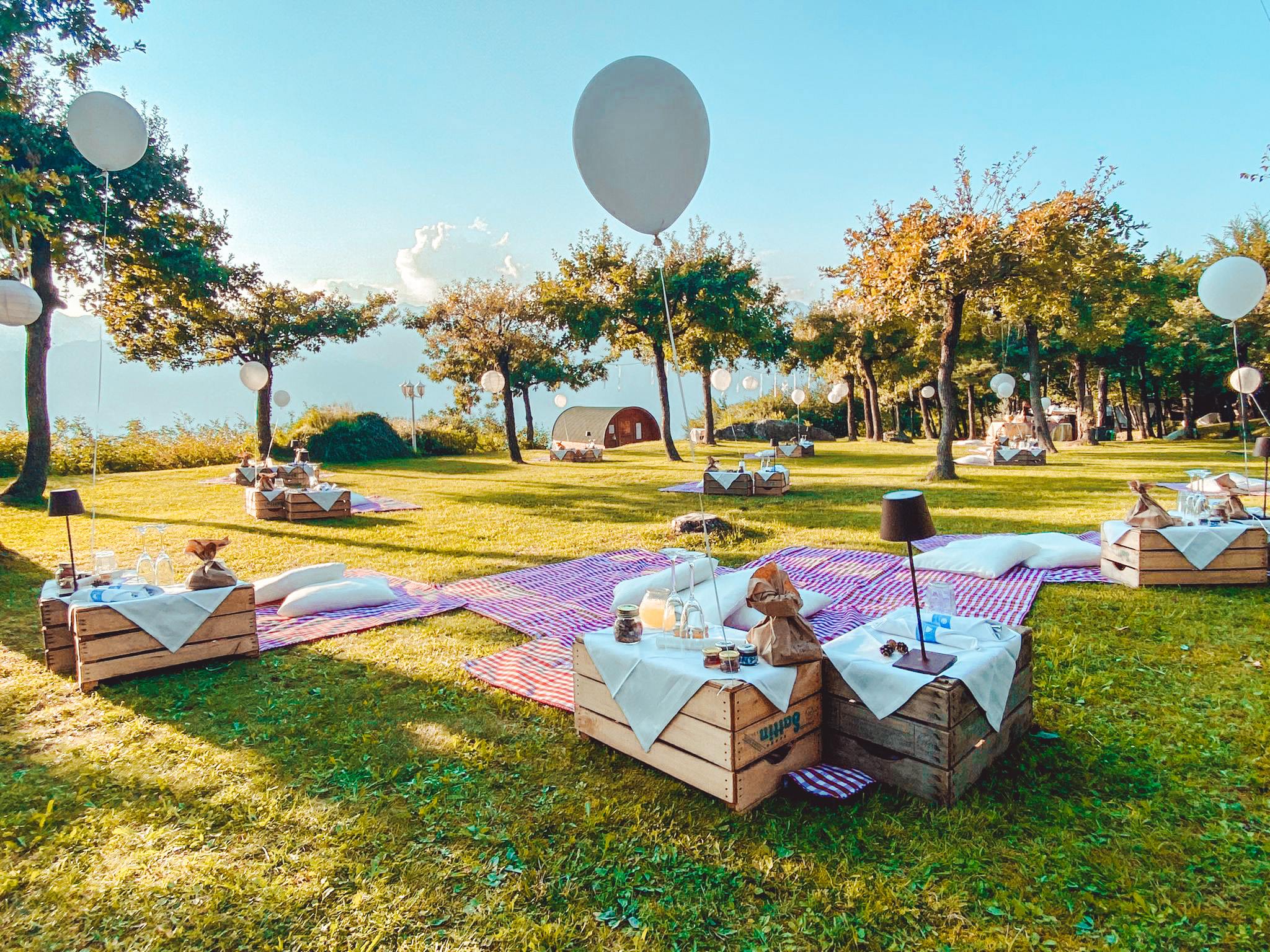 Image Column Section Image 1