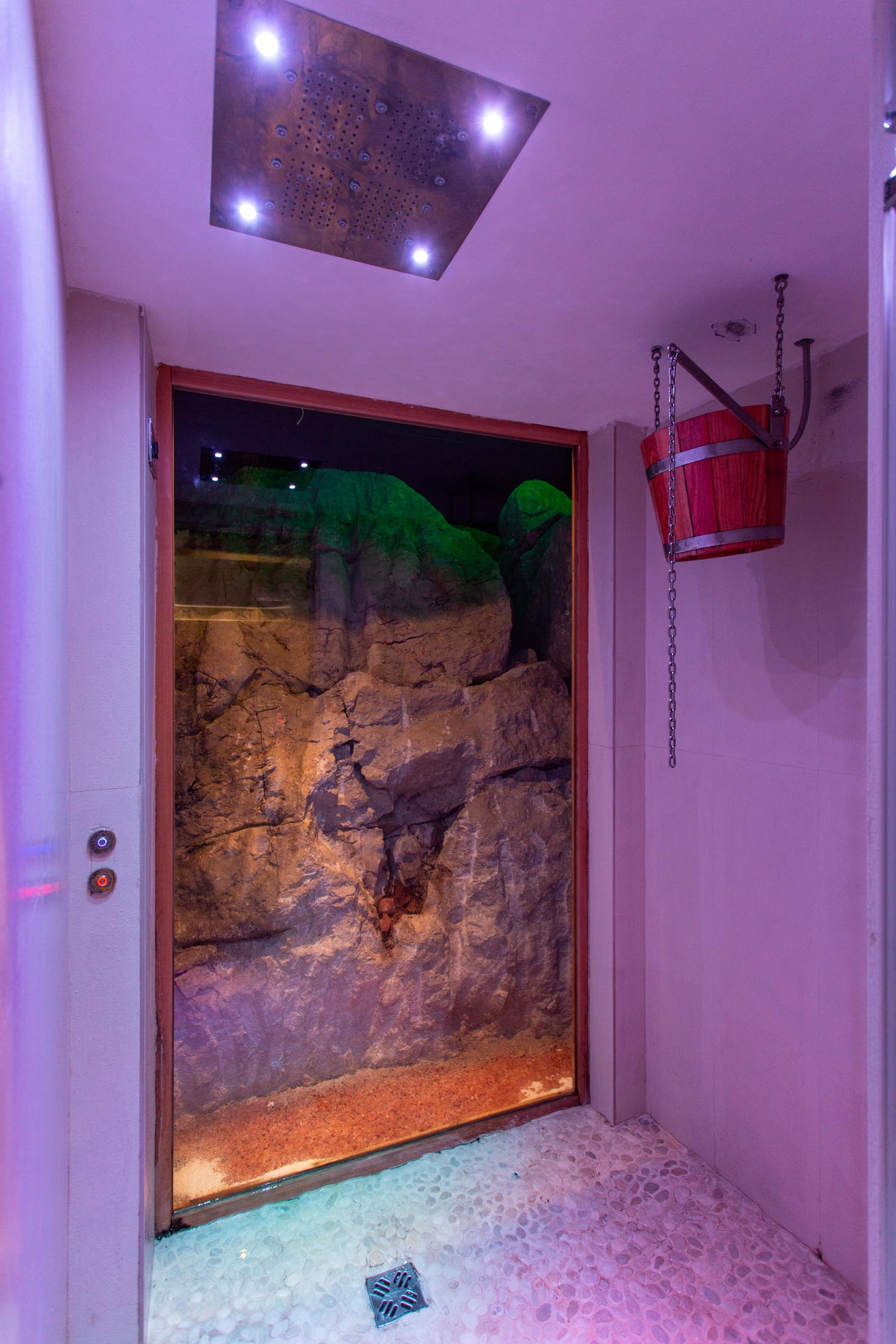 Image Column Section Image 2