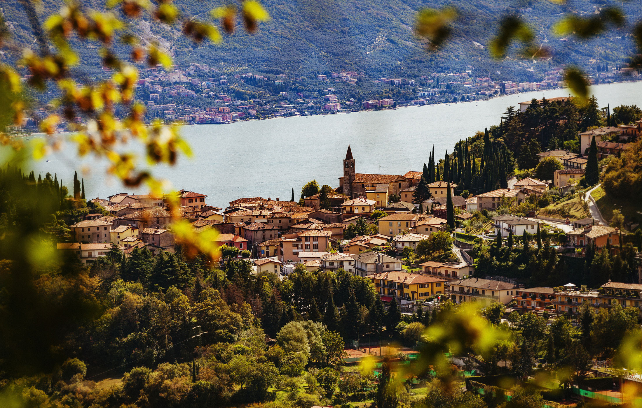 Image Column Section Image 2