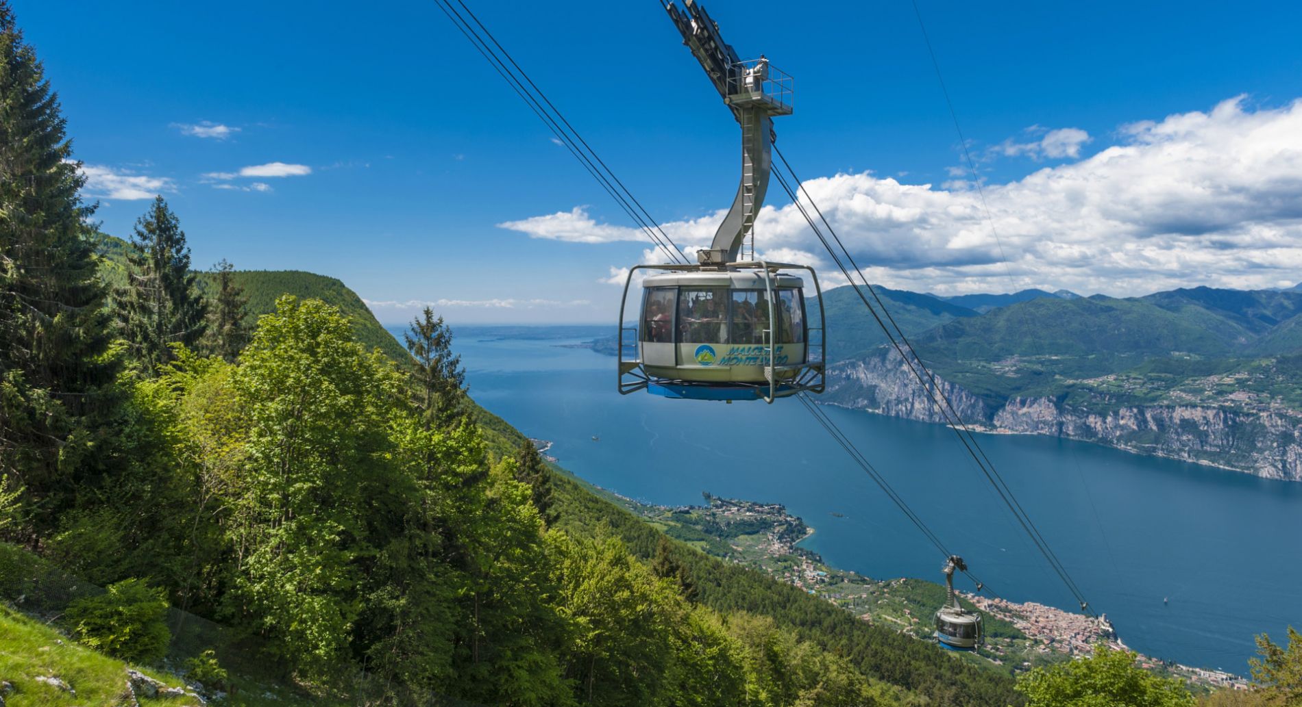 Image Column Section Image 1