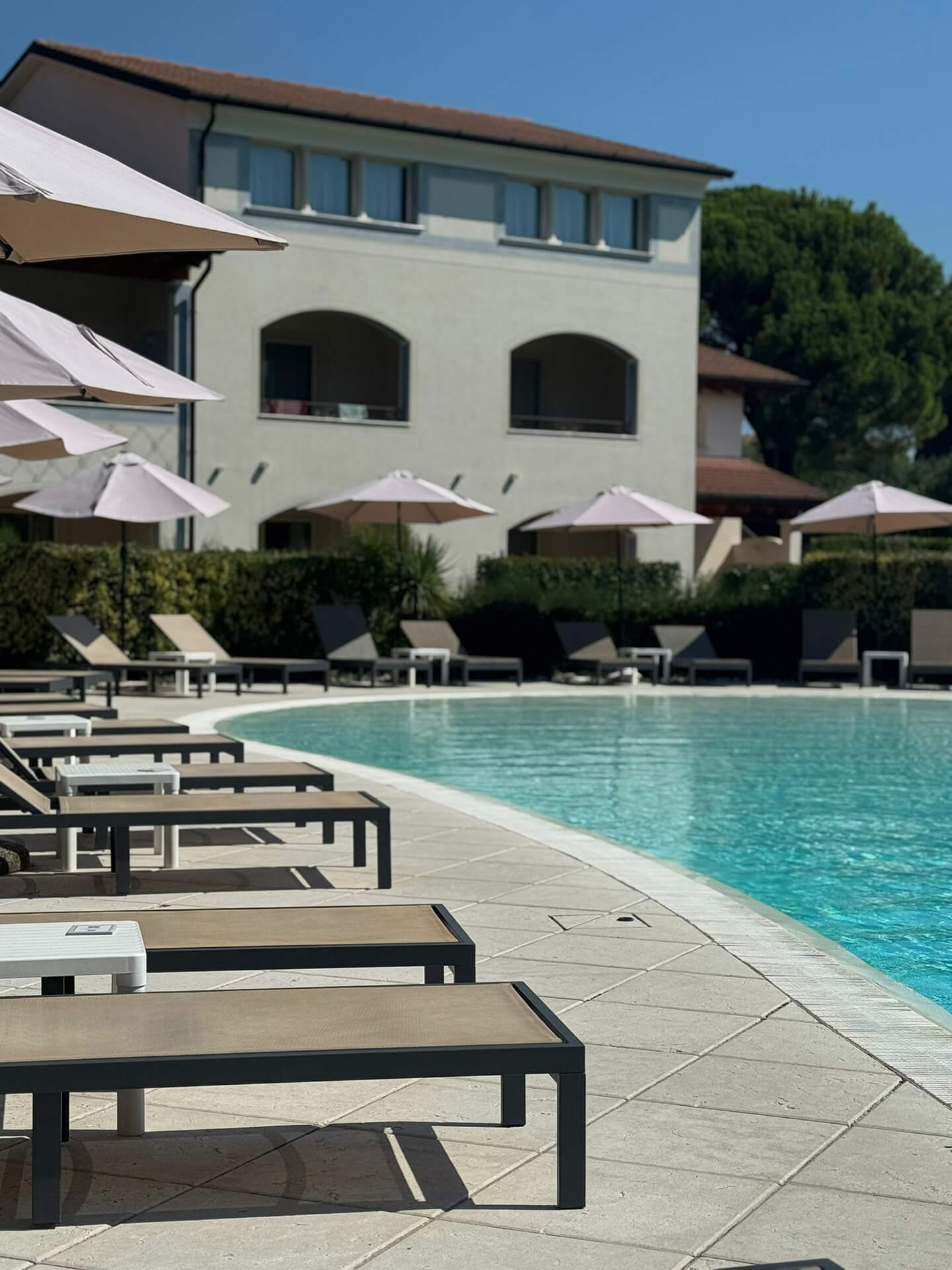 Image Column Section Image 2