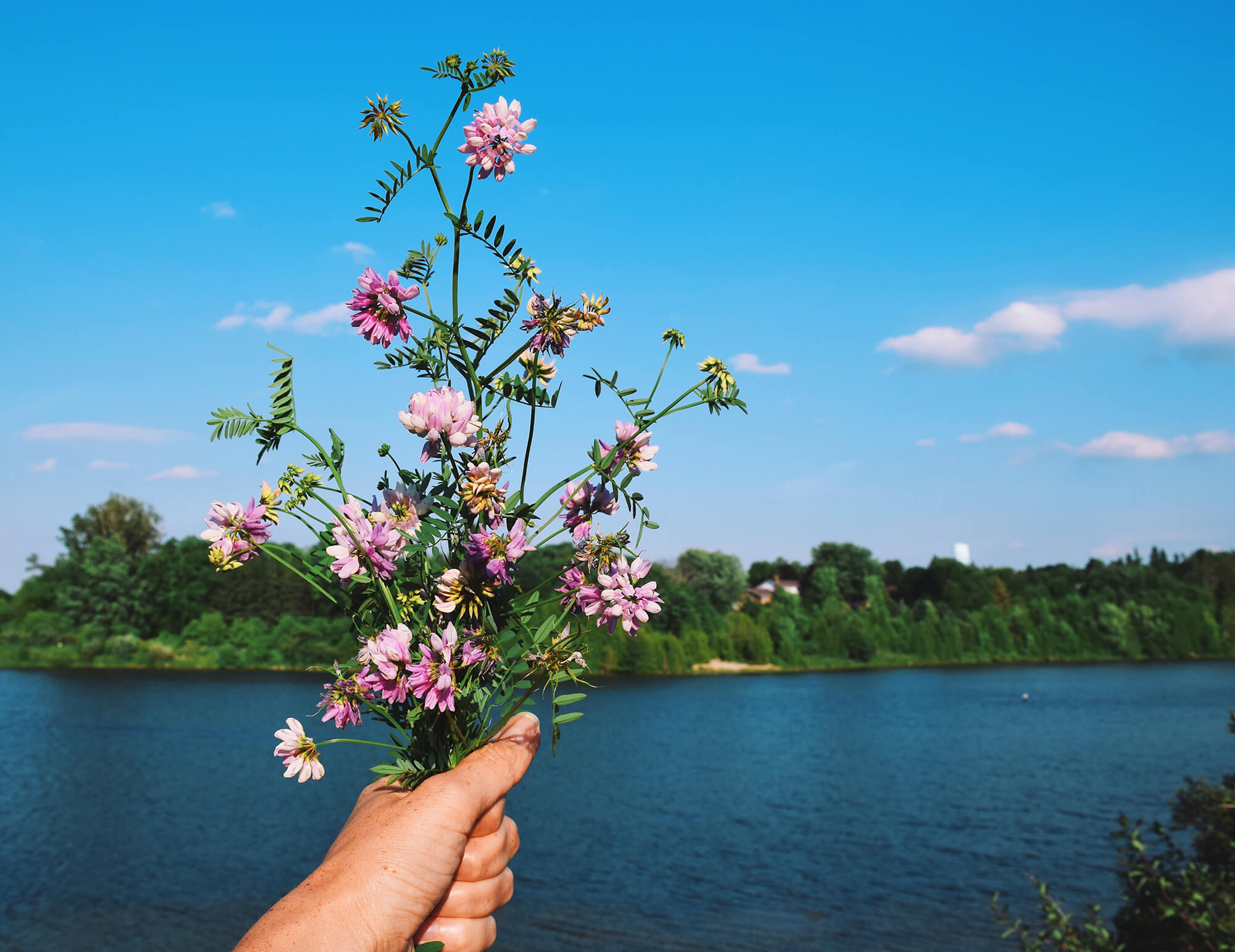 Offre spéciale Réservation anticipée
