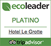 trip-advisor