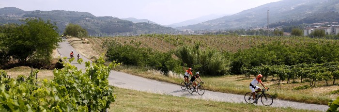 Granfondo Nove Colli